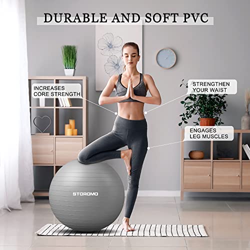 STOROMO Exercise Ball,Yoga Ball(with Exercise Tutorial)，Extra Thick Non-Slip,Holds 2500 lbs, Workout Ball for Pregnancy Birthing and Balance Stability (Silver, 75cm/29.5in) — view 4