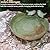 Light Green Ceramic Wild Bird Bath Bowl or Feeder for Outdoor Garden, Bowl Only