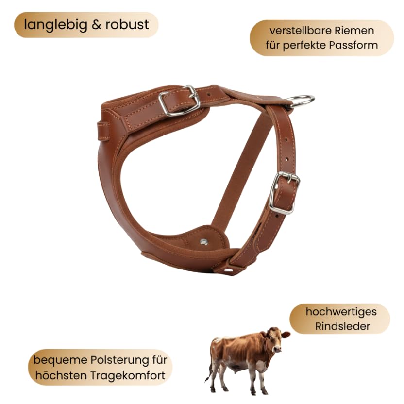 Hundegeschirr kleine Hunde aus echtem Rindsleder - Hundegeschirr Leder für Dackel, Chihuahua & co - verstellbares Welpengeschirr - Geschirr für kleine Hunde für Spaziergänge & Alltag (S)