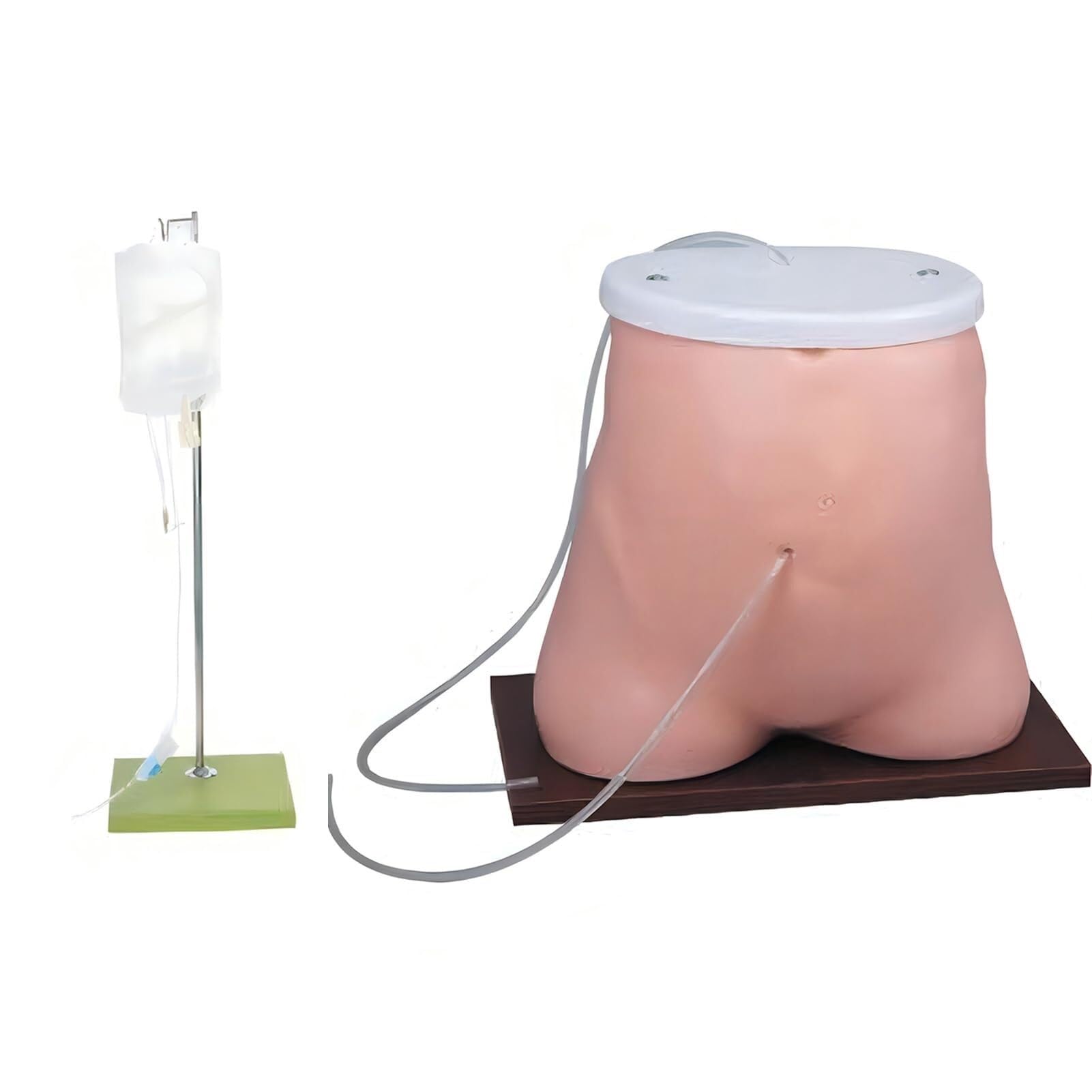 HEQIM Peritoneal Dialysis Model Human Abdomen Model, Medical Training peritoneal Dialysis Model, Suitable for Medical Education and Demonstration