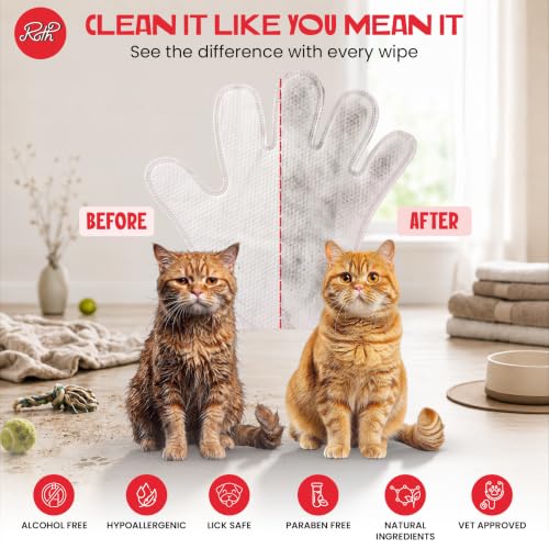 Image of ROTH Monthly Care Kit for Cats | Dental Wipes + 2 x 4 pc Grooming Gloves | Full Month Pet Care Solution | Vet Formulated Hygiene Kit