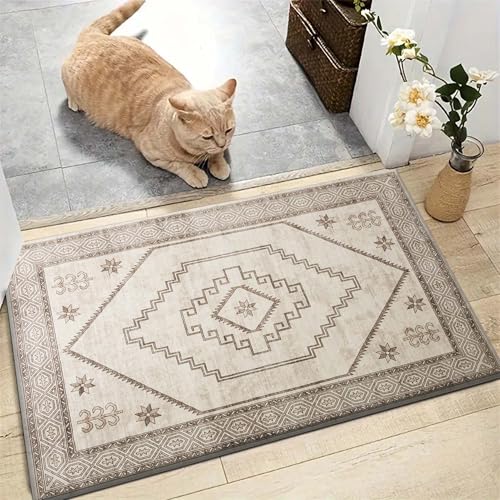 AMEHA Door Mats Outdoor Indoor 40 x 60 cm, Heavy Duty Door Matts Indoor, High Absorbent Non Slip Floor Mat Welcome Entrance Doormats Machine Washable Low Profile Doormat (Radiant)
