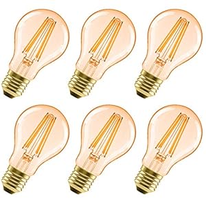 LVWIT Edison gloeilamp E27, A60 gloeilamp, 6,5 W, vervangt 51 W gloeilamp, E27 LED vintage antieke lamp 2500 K warm wit 650 lm, ideaal voor nostalgie en retro verlichting, verpakking van 6 stuks