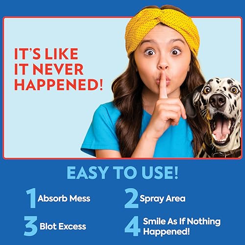 Image of OUT! PetCare Pet Odor & Stain Remover Spray, Carpet & Floor Cleaner, Deodorizer for Dogs & Cats, Made in USA, 32 fl oz (6 Pack)