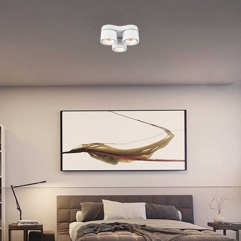 SKYGOO Foco de techo LED de 30 W, lámpara de luz de pasillo ajustable, luz de sala de estar de baño, foco de montaje en superficie de tres cabezas, luz de pasillo de dormitorio, luces de centro comerc