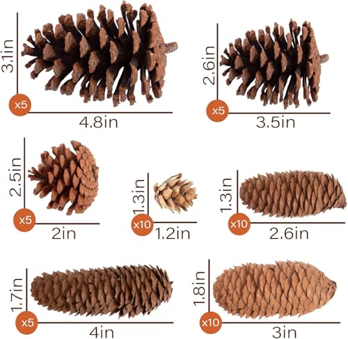 Image of 20PCS Natural Pinecone Ornaments, Pine Cones Bulk Natural Pinecones Assortment for Fall Winter Christmas Bowl Fillers (Natural)