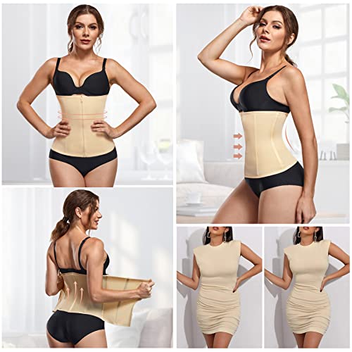Meryosz Waist Cincher For Women Zipper Waist Trainer Shapewear Mesh Body Shaper Corset Plus Size Trimmer For Tummy Control (Beige,M) #TOP2