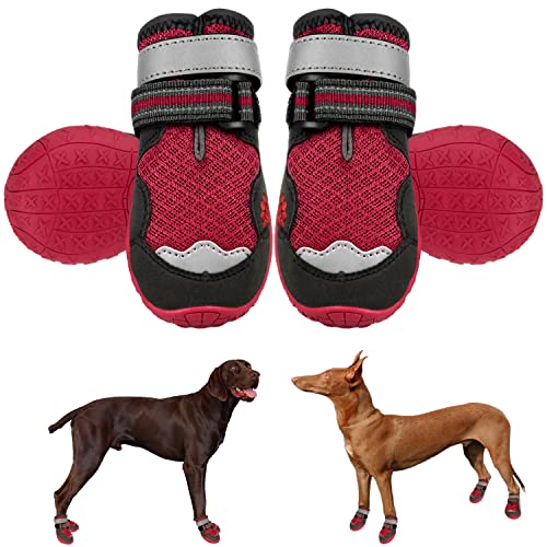 Top 10 Dog Boots For Hiking of 2022 Katynel
