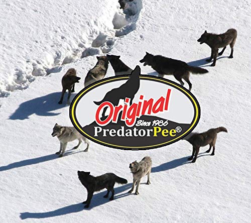 Predator Pee 100% Mountain Lion Urine - Territorial Marking Scent - Creates Illusion That Mountain Lion Is Nearby - 16 Oz #TOP2