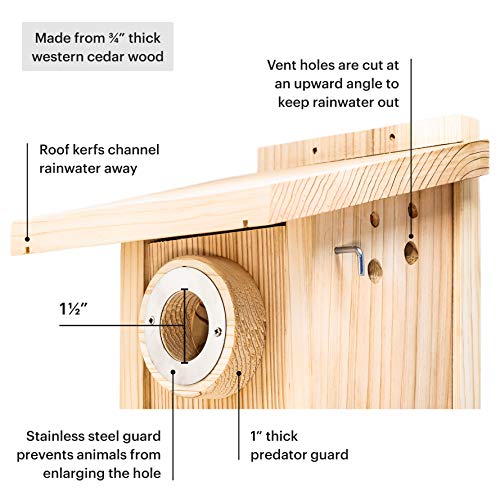 Whitehorse Premium Cedar Bird House - Weatherproof Design With A 15 Sq Inch Floor - A Bluebird Box House Built To Nabs Specs - Enjoy Bird Watching While Supporting Birds (Eabl) #TOP1