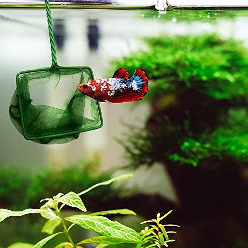 The Best Aquarium Vacuum Buyers Guide 2023 Animal Corner