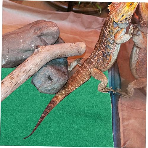 Almohadilla térmica para reptiles, tortugas y lagartos miniatura 4
