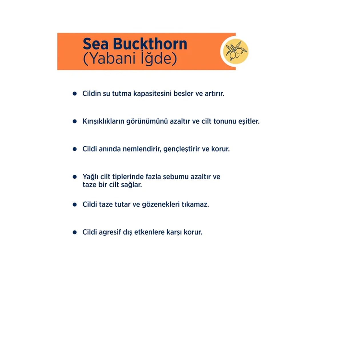 Celenes By Sweden Sea Buckthorn Dengeleyici Yüz Bakım Kremi Yağlı/Karma Ciltler 50 ml