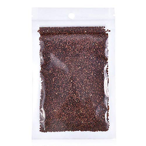 C-LARSS 1 Beutel Aquarium Aquarium Pflanzensamen, Aquatics Green Leaves...