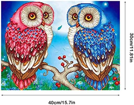 5D Diamond Painting Owl, DIY Diamond Painting Set, Rhinestone Embroidery Diamond Painting Handmade Craft Cross Stitch Mosaic Painting Used for Bedroom, Office, Café Wall Decoration (30 x 40 cm)