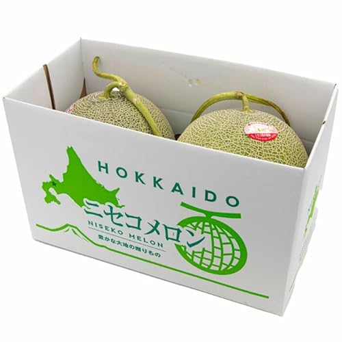 [2026年7月下旬以降順次発送]赤肉メロン 大玉2玉