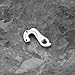 Micro Traders Bike Derailleur Hanger Compatible with WG001-SL Derailleur Hook Bicycle Tail Hook 8 Speed Rear Gear Mech Bicycle Tail Hook Aluminum Alloy with 2 Screws Silver, 9mm, Sliver