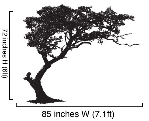 Tree Shade Wall Decal Stickers - Multiple Colors Available, 72" X 85" (6 Ft. Tall). Nature Vinyl Wall Art Decal. #312 #TOP2