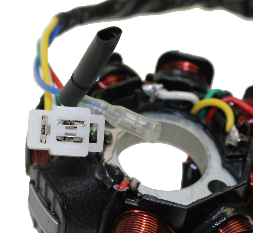 Lichtmaschine Version 2 für 4-Takt China Roller GY6 für AGM Azel Baotian Buffalo Ecobike Ering Flex Tech Huatian Jonway Lifan Peugeot Rex Tauris Sachs