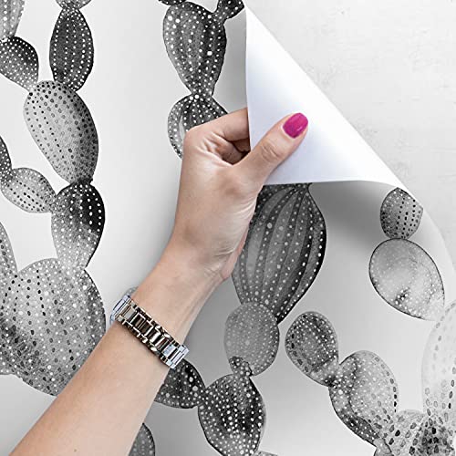 Papier Peint Meuble Chambre Décoration Cactus Boho
