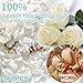 Real Ivory Rose Petals, Frozen Preserved Petals for, Wedding Party Decorations, Dried Flower Confetti, Table Centerpieces, Bridal Shower, 3.17 oz (90 g)