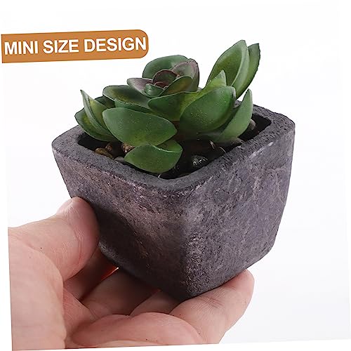 NUSITOU 2 Stuks Tuinaanleg Mini Bonsai Prop Ingemaakte Nepcactus Levendige Bonsai Lichte Huisdecoratie Voor Thuis Kunstmatige Sappige Decoraties Levensechte Cactus Plant Pvc Rekwisieten - Afbeelding 6