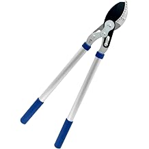 Spear & Jackson 8041RS 28" Dual Compound Anvil Lopper, Silver & Blue