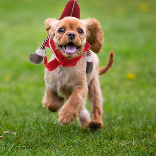 Disfraz Santa Gnome para Perro Talla S Rojo miniatura 7