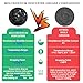 Horex Automotive Moly Grease 5% Molybdenum Disulfide Lithium Lubricating 50g Bearing General High Temperature Anti Seize Rust for Tractor Truck Wheel Bearing Axle Ball JV Joint Heavy Duty Machines