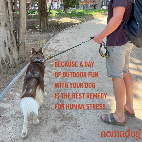Nomadog Trailblazer Freihandleine Hund 2,4m - Doppelseitig und Stufenlos Verstellbar - Multifunktionale 6-in-1 Hundeleine mit Sicherheitskarabiner aus Aluminium - Perfekt für Jogging und Wandern