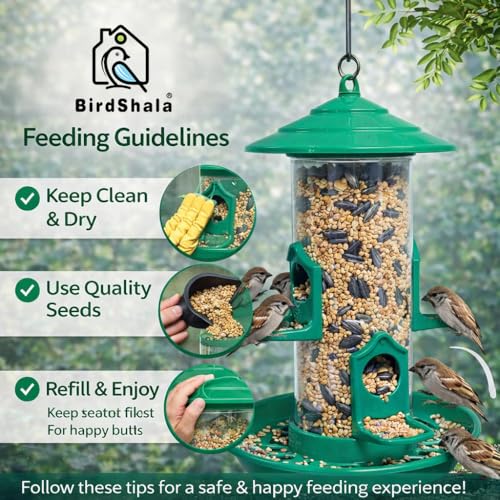 Image of Bird Feeder for Balcony & Garden, 1L Large Capacity Hanging Bird Feeder, Weather Resistant Seed Feeder with Tray for Sparrows & Small Birds - BirdShala