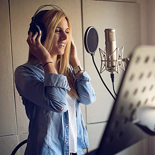 Audio-Technica At2035Pk Studio Condenser Microphone Pack With Ath-M20X Headphones And Cabled Boom Arm With Desktop Headphone Stand, Metal Mesh Microphone Pop Filter And Flexible Pop Filter #TOP6