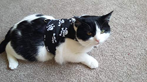 Mynwood - Giacca/imbracatura per gatti con teschi