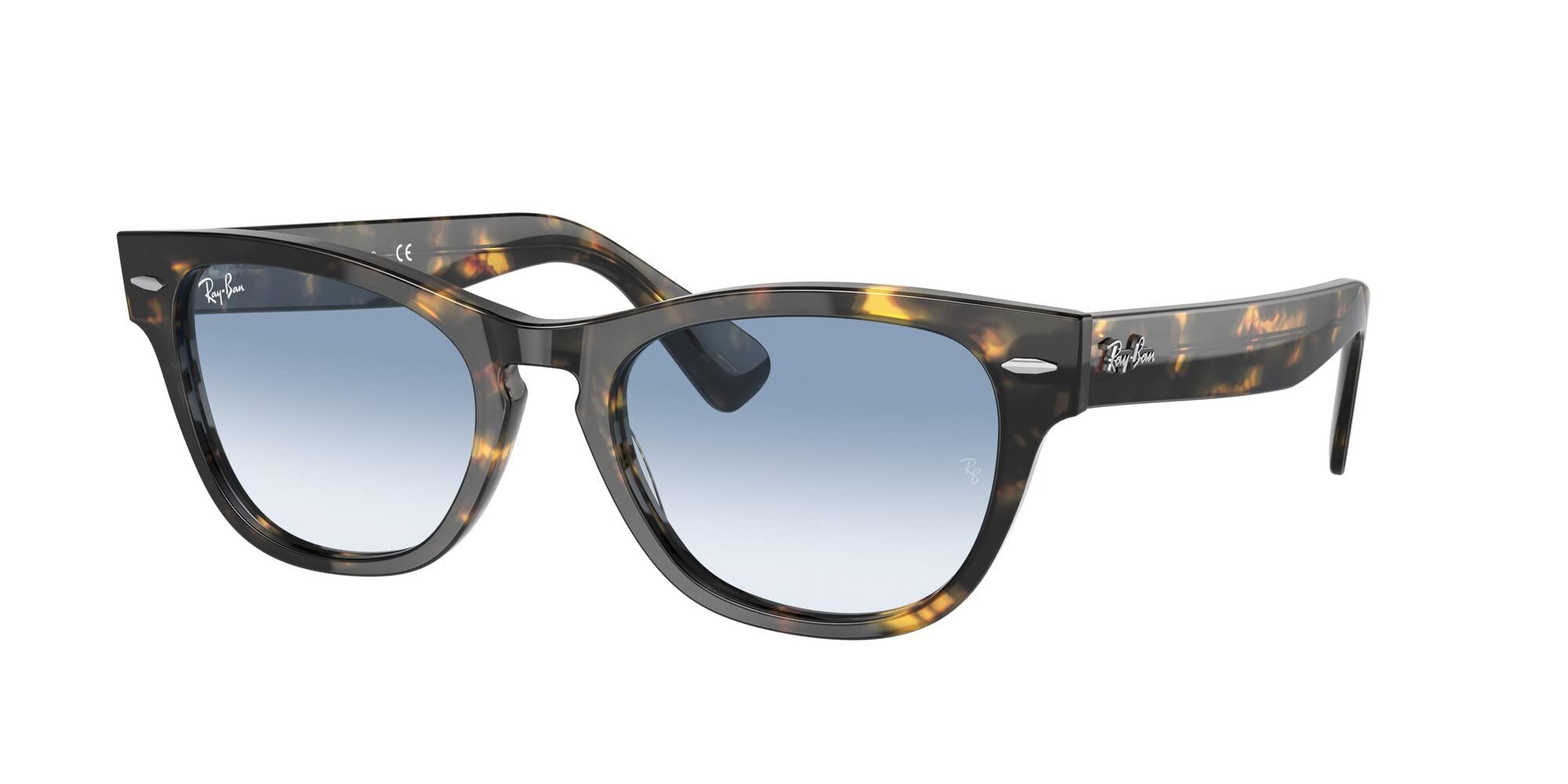 Ray-Ban ララミー RB2201 LARAMIE Sunglasses in Black and Green - RB2201 | Ray-Ban® US