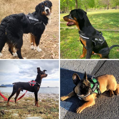 SUPER DOGGY Personalisiertes Hundegeschirr - Reflektierendes und sicheres Hundegeschirr - Enthält 2 Namensschilder, Klein, Mittel und Groß - Qualität und Beständigkeit (Verde, XS 3-7KG)