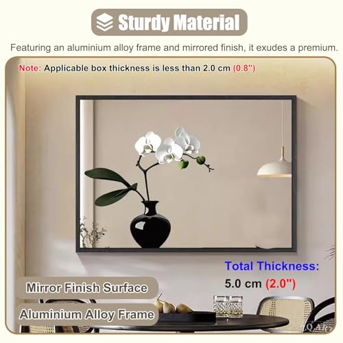 Miroir décoratif extérieur et intérieur pour masquer le compteur