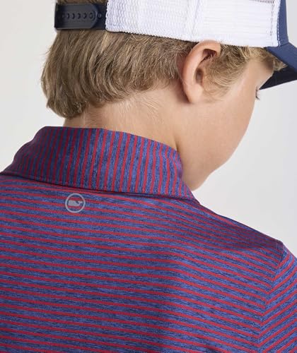 Image of Vineyard Vines Kids Bradley Stripe Sankaty Polo (Toddler /Little Kids /Big Kids)