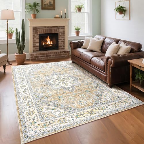 CRYPTOLITE Area Rugs for Living Room Bedroom