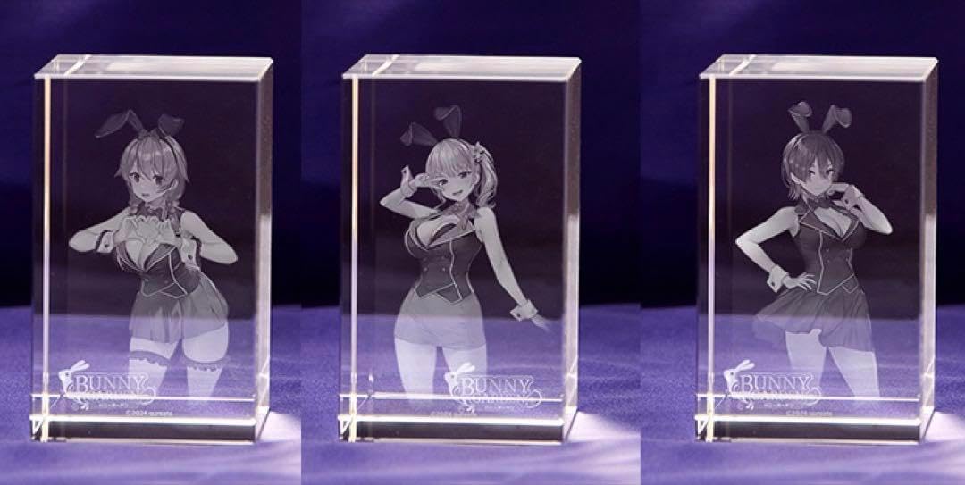 本日限定 サンワ RX-332S FM40MHz受信器 MG996Rサーボ サンワ MX-6 RX