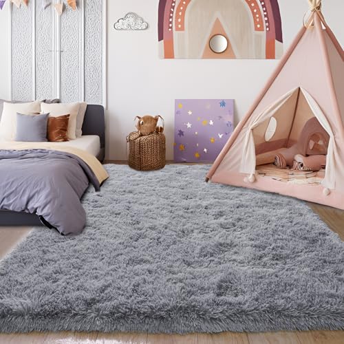 KING DARE 4x6 Grey Rug for Bedroom, Shaggy Plush Fuzzy Non-Slip Soft Fluffy Carpet Washable for Living Room Dorm Playroom Kids Room, Modern Home Decor Aesthetic