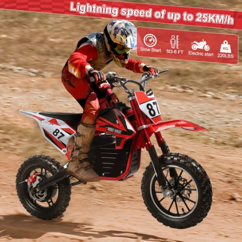 Shulemin Kids Electric Dirt Bike
