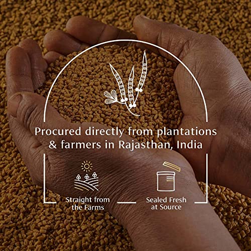 Image of VAHDAM, Fenugreek Whole Seeds (3.38oz /100g) 100% Raw, Gluten Free Fenugreek Whole Foods | Methi Seeds for Cooking | Direct from Source