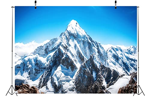 BELECO Telón de Fondo Fotográfico 10x8FT de Tela de Invierno miniatura 5