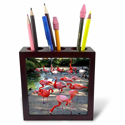 3dRose ph_1223_1 Flamingos Tile Pen Holder, 5-Inch