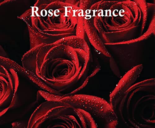 Dirham Gold | Dirham Gold EDP Men and Women Eau de Parfum 100ml | Vanilla and Jasmine Fragrance | Manasik Dirham Gold Perfume for Men and Women (Inspired by dirham gold) By Sapphireâs Choice - Image 5