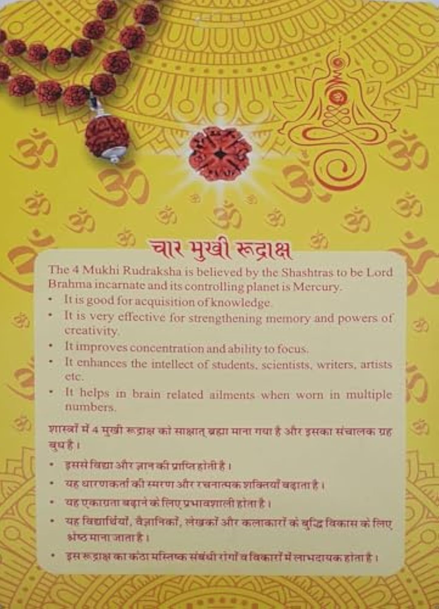 Natural 4 Mukhi Rudraksha for Pooja and Spiritual Practices
