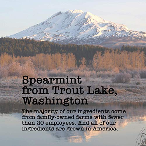 Organic Spearmint, 100+ Servings, Eco-Conscious Zip Pouch, Caffeine Free, Pure Loose Leaf Tea Grown in America, 14 Ounce (Large) Organic Spearmint, 100+ Servings, Eco-Conscious Zip Pouch, Caffeine Free, Pure Loose Leaf Tea Grown in America, 14 Ounce (Large)