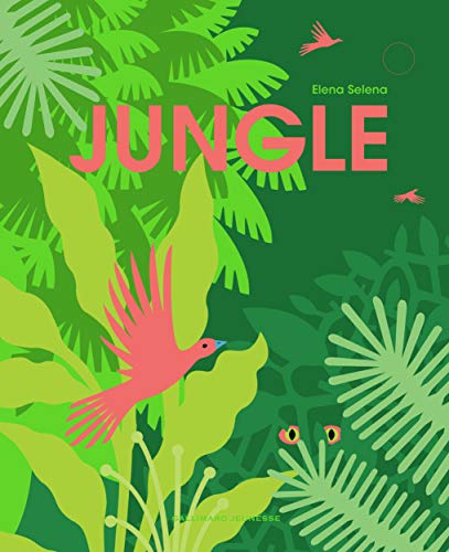 Jungle (Albums Gallimard Jeunesse)