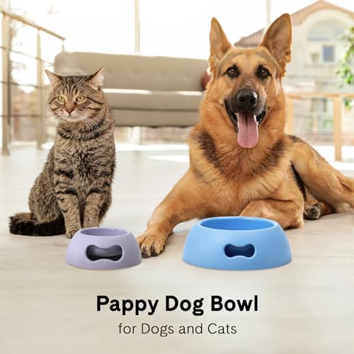 United Pets Pappy Hundenapf, Eco- Friendly, Made in Italy, Futternapf, Trinknapf für Hunde, Hellgrau, Napf für mittelgroße Hunde, 1100ml, M