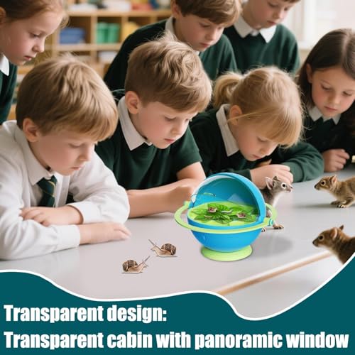 Boîte à éclosion transparente avec aération pour ver à soie